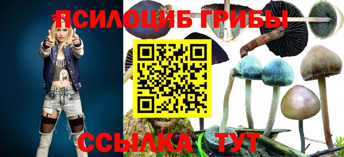 Видное  Псилоцибиновые грибы прущие грибы  Вход с VPN  Галлюциногенные грибы мухоморы 